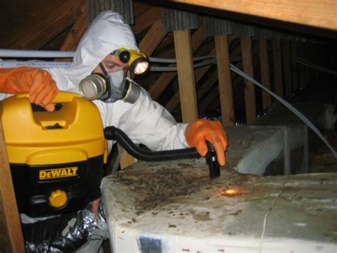 affordable pest exterminator in my area